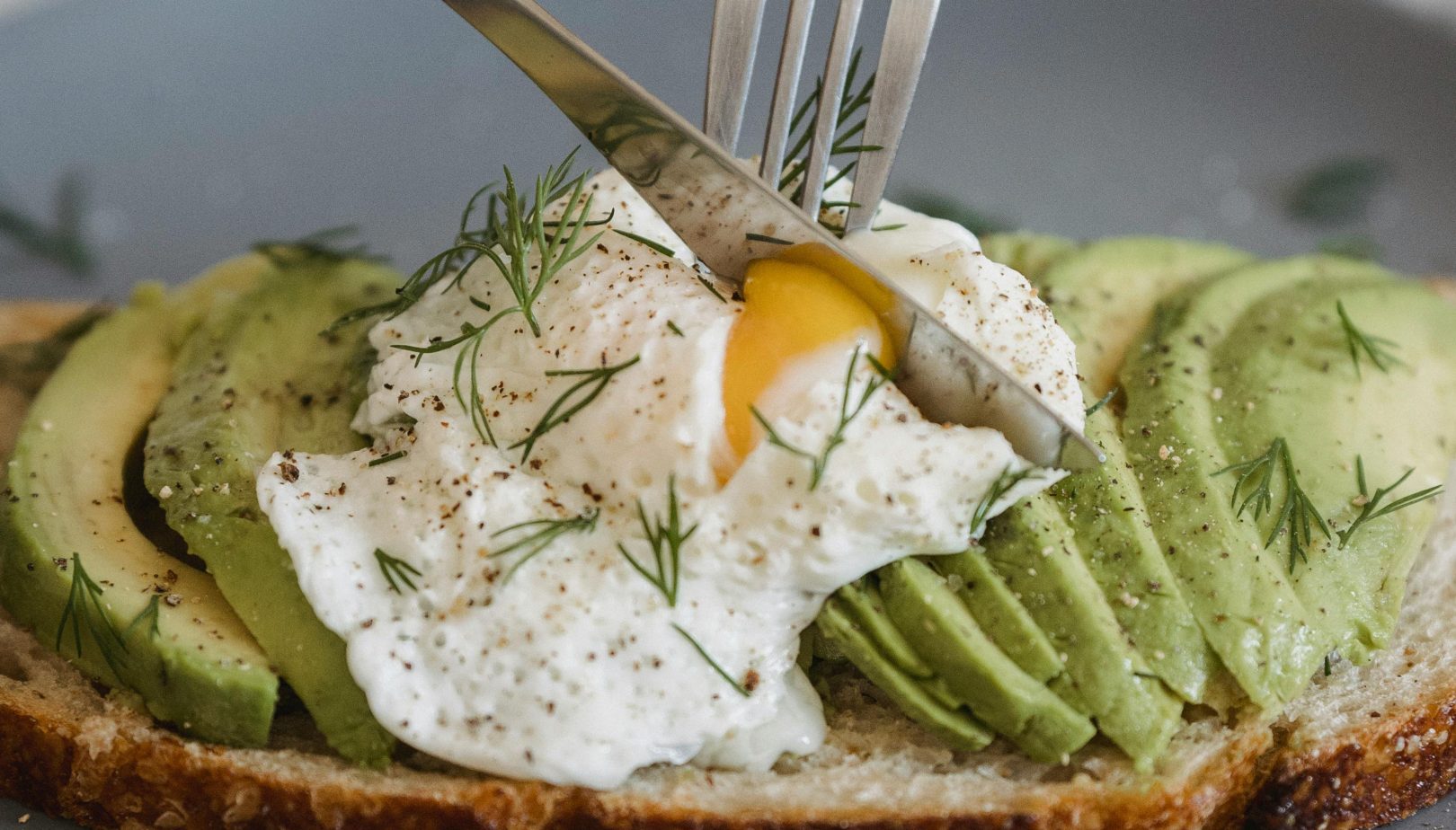 omellete plate