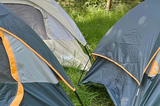 Gray Resort Tents